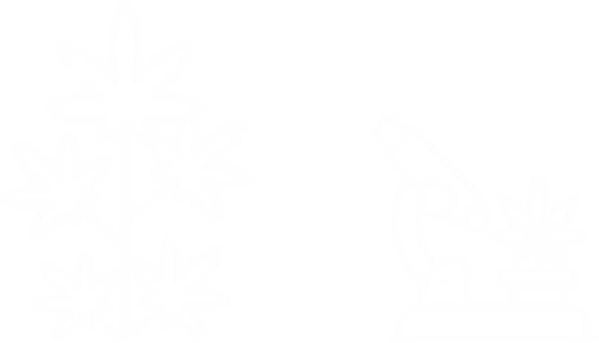 PROCESO-SEMILLA-2